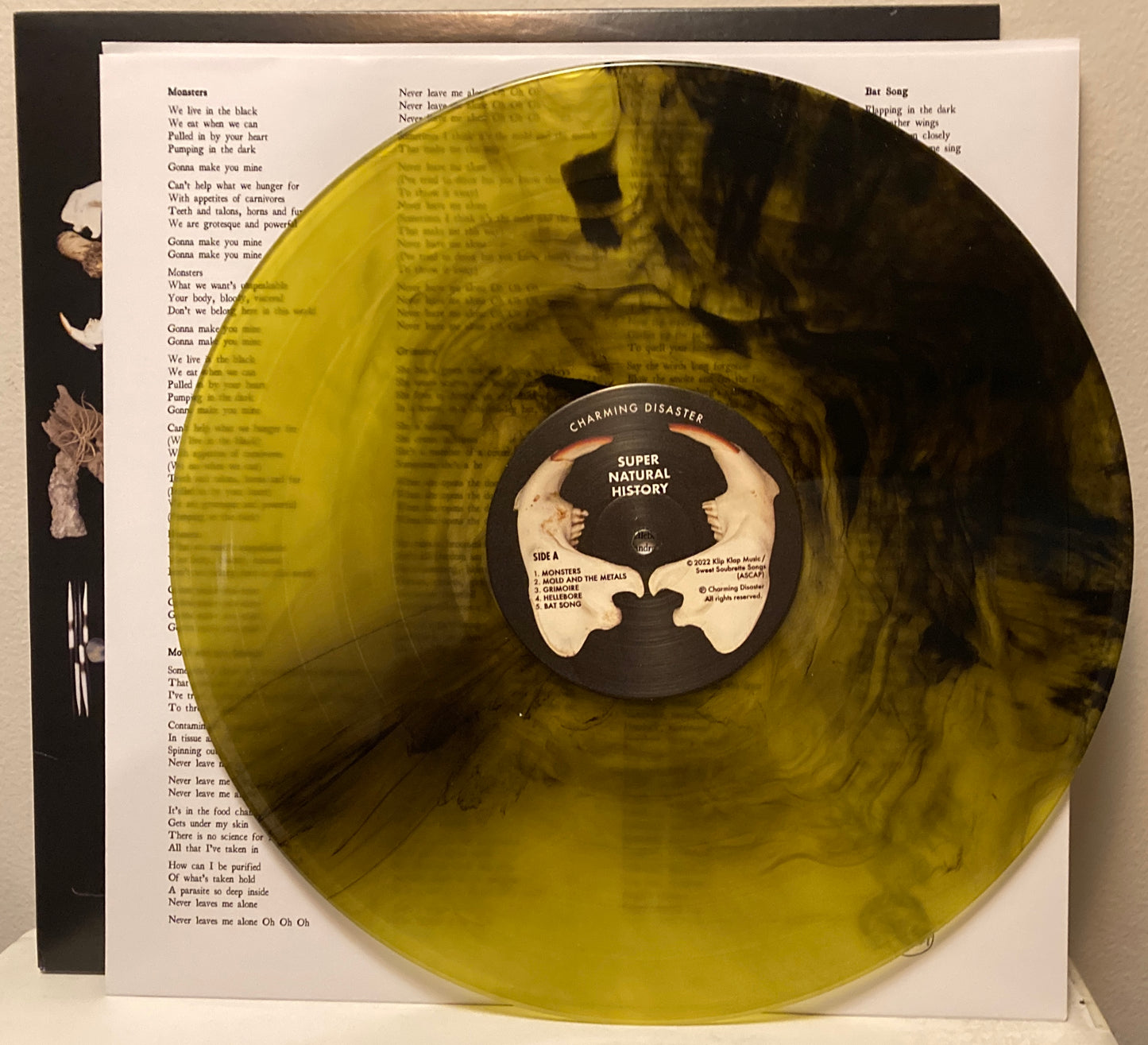 Vinyl LP: Super Natural History